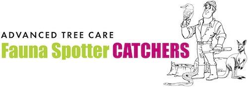 fauna spotter catchers Fauna Spotter Catchers Mackay